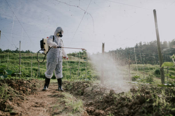Best Mosquito Control Services  in Van Meter, IA