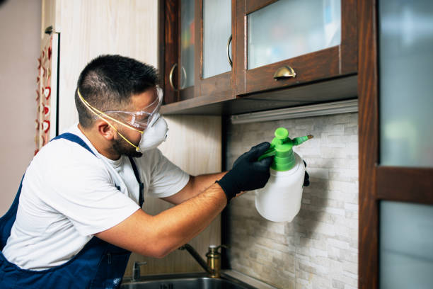 Best Pest Removal Services  in Van Meter, IA
