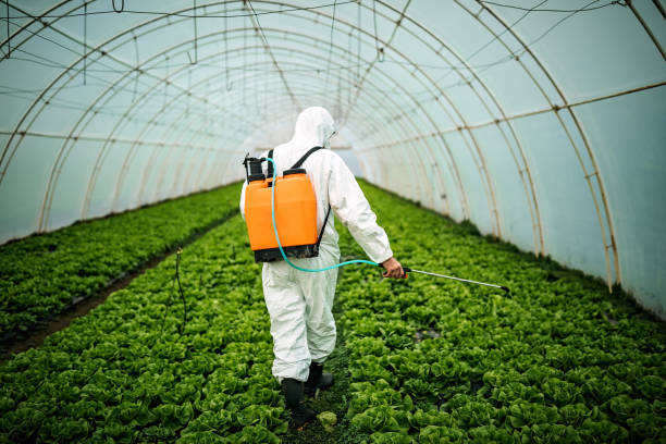 Best Mosquito Control Services  in Van Meter, IA