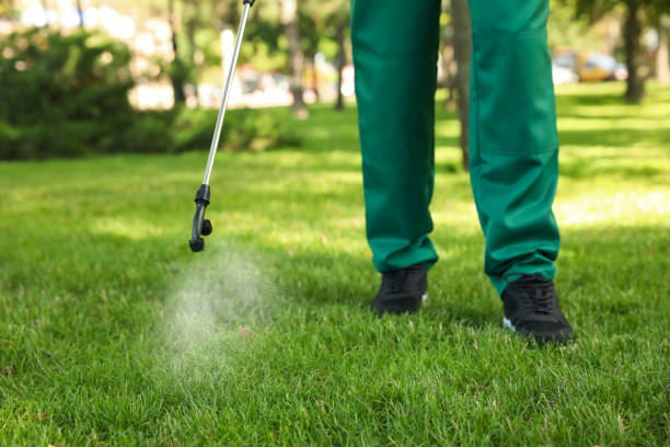 Best Residential Pest Control  in Van Meter, IA