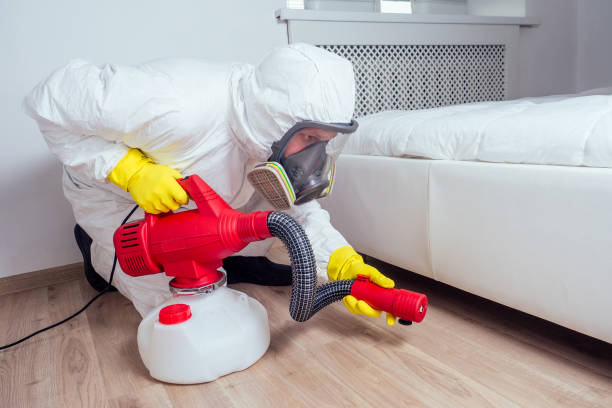 Best Emergency Pest Control  in Van Meter, IA