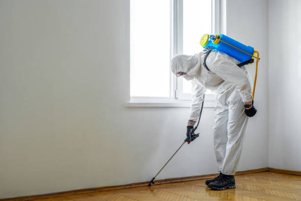 Best Affordable Pest Control Services  in Van Meter, IA