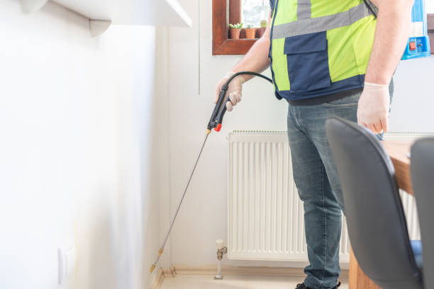 Best Pest Prevention Services  in Van Meter, IA