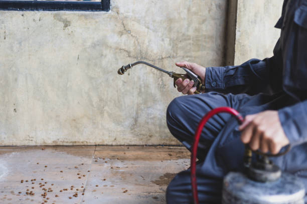 Best Local Pest Control Services  in Van Meter, IA