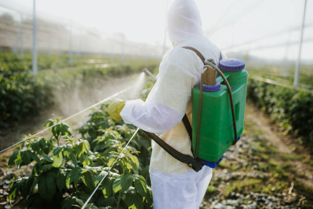 Best Best Pest Control Companies  in Van Meter, IA